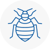 Bed Bug Extermination In Telford